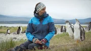 Andrea Raya Rey with Gentoo Penguins