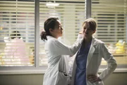 Während Meredith (Ellen Pompeo, r.) freiwillig die Notaufnahme leitet, versucht Cristina (Sandra Oh, l.) ihr etwas wichtiges zu erzählen ... Während Meredith (Ellen Pompeo, r.) freiwillig die Notaufnahme leitet, versucht Cristina (Sandra Oh, l.) ihr etwas wichtiges zu erzählen ...