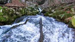 Quellgebiet.