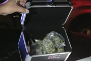 DETROIT - CBP seized marijuana. DETROIT - CBP seized marijuana.
