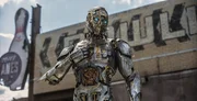 Cogman