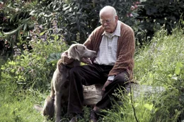 Der pl&ouml;tzliche Tod seiner Frau Marlies bringt das Leben von Hubert Herrlich (Joost Siedhoff) vollkommen durcheinander. Nur sein Hund Herkules spendet ihm noch Trost, denn das Verh&auml;ltnis zu Sohn Stefan ist von Sturheit gepr&auml;gt ...
