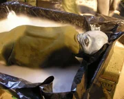 Apr&egrave;s la d&eacute;couverte de vestiges d'un &eacute;trange objet au Nouveau-Mexique, en 1947, la folie des OVNI a explos&eacute;. Malgr&eacute; les d&eacute;mentis, nombreux sont ceux qui pensent que Washington cache quelque chose.