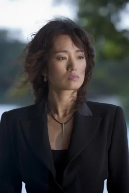Isabella (Gong Li), die Gesch&auml;ftspartnerin und Geliebte des Drogenbosses Montoya, begibt sich in gro&szlig;e Gefahr ...