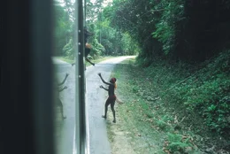 Jarawa versuchen, in einen Bus zu klettern  +++ Die Verwendung des sendungsbezogenen Materials ist nur mit dem Hinweis und Verlinkung auf RTL+ gestattet. +++