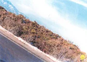 Eine Stra&szlig;e entlang eines Hangs mit Buschvegetation und Schneespuren unter klarem Himmel.