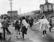 Panik erfasst die Schulkinder, als sich Seem&ouml;wen blindlings auf sie st&uuml;rzen und ihnen schwere Verletzungen zuf&uuml;gen.