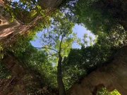 Wie ein gr&uuml;nes Dach legen sich B&auml;ume und Str&auml;ucher &uuml;ber die ehrw&uuml;rdige Ruine der Villa La Romantica bei Bologna. Fast 80 Jahre lang hatte die Natur hier freies Spiel. &Uuml;ber das Internet haben nun auch Vandalen den Lost Place in Italien entdeckt.