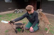 Pflegerin Desir&eacute;e Studt mit Mufflonkind Rosi und Zicklein Carla.