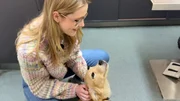 Lena begr&uuml;&szlig;t Patient Fridolin, einen Golden Retriever Welpen.