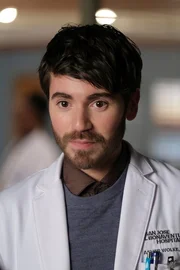Dr. Asher Wolke (Noah Galvin)