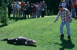 Happy Gilmore (Adam Sandler, r.)