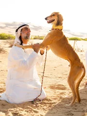 In desert with Salukis. In desert with Salukis.