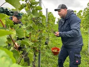 Der perfekte Ausgleich zum Snowboarden: Parasportler Christian Schmiedt ist Hobby-Winzer.