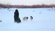 Tyler Selden running the dogsled team. Tyler Selden running the dogsled team.
