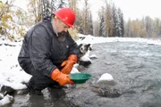 Todd Hoffman uses a gold pan to check the gold content from dirt dug from the glory hole on the banks of the Klenini River with at the gold mine about 40 miles north of Haines, Alaska.
