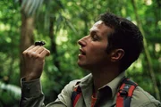 Willi mit einem Herkulesk&auml;fer im Regenwald Monte Verde.