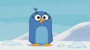 Die kleine Pinguindame hingegen hat keinen Spa&szlig;, sie friert.