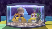 Taucher Tom hat einen süßen, kleinen Babykraken gefunden, der seine Mutter verloren hat. Bis der kleine Schelm groß ist, müssen Tom und die beiden U-Boote auf ihn aufpassen. Taucher Tom hat einen süßen, kleinen Babykraken gefunden, der seine Mutter verloren hat. Bis der kleine Schelm groß ist, müssen Tom und die beiden U-Boote auf ihn aufpassen.