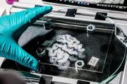 Wie ist unser Gehirn aufgebaut? Das versucht man am Forschungszentrum J&cedil;lich mit einem 3-D-Atlas unseres Denkorgans darzustellen. Daf&cedil;r werden Gehirne in einer Art Tiefk&cedil;hltruhe in hauchd&cedil;nne Scheiben zerschnitten. So bleiben die Nervenfasern erhalten, und ihre Struktur l&permil;sst sich besonders lebensnah rekonstruieren.