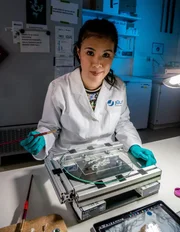 Dr. Mai Thi Nguyen-Kim bearbeitet am Forschungszentrum J&cedil;lich eine hauchd&cedil;nne Scheibe eines Gehirns.