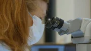 Forensiker auf Spurensuche.