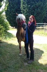 Es vergeht keinen Tag, wo sich Haflingerdame "Nena" nicht losreißt. Das Reinholen von der Weide gestaltet sich immer als Kraft- und Geduldsprobe. Ein Fall für Pferdeprofi Sandra Schneider! Es vergeht keinen Tag, wo sich Haflingerdame "Nena" nicht losreißt. Das Reinholen von der Weide gestaltet sich immer als Kraft- und Geduldsprobe. Ein Fall für Pferdeprofi Sandra Schneider!