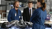 Dr. Brennan (Emily Deschanel, r.) und Dr. Hodgins (TJ Thyne, l.) sprechen mit Agent Booth (David Boreanaz) &uuml;ber die mumifizierte Leiche, die in einer Diskothek gefunden wurde. Es stellt sich schnell heraus, dass es sich bei dem Leichnam um den bekannten DJ Mount handelt. Doch wer hat ihn ermordet?