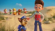 Vorne: Chase (l.) und Ryder  Hinten V.l.:Skye, Rocky, Rubble, Zuma und Marshall     +++ Die Verwendung des sendungsbezogenen Materials ist nur mit dem Hinweis und Verlinkung auf RTL+ gestattet. +++