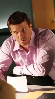 David Boreanaz als Special Agent Seeley Booth