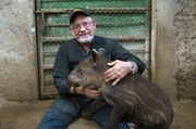 Im Zoo von Managua hat Dr. Eduardo Sacasa ein Zuchtprogramm ins Leben gerufen: 23 Tapire leben in seiner Obhut.