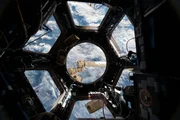 Im August 2014 machten russische Astronauten eine erstaunliche Entdeckung im All. Die Fenster der Raumstation waren mit lebendem Plankton bedeckt. Wenn also Kreaturen des Meeres im All leben k&ouml;nnen, g&auml;be es im Umkehrschluss auch au&szlig;erirdische Lebensformen in unseren Meeren?