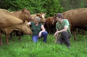 Nina und Sebastian Kill vom B&auml;renbrunnerhof lieben ihre Rinder. Um sie vor solchen Plagegeistern wie Pferdebremsen zu sch&uuml;tzen, starten sie einmal im Jahr eine abenteuerliche Aktion. Sie verpassen den Tieren besondere Ohrmarken, welche l&auml;stiges Ungeziefer mit einem Duftstoff vertreiben.