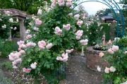 Schaugarten K&ouml;hler Ladendorf.