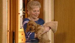 Die Z&uuml;chterin hat Hundefreunde gefunden, die so einen Spanielwelpen in ihrer Familie aufnehmen wollen.