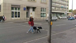 Hunde k&ouml;nnen vieles lernen. Blindenf&uuml;hrhunde finden sich sogar im Stra&szlig;enverkehr zurecht. Sicher entscheiden sie, wann die Stra&szlig;e &uuml;berquert werden kann. Die F&auml;higkeiten des Hundes geben dem blinden Menschen Sicherheit und verhelfen ihm zu mehr Bewegungsfreiheit.
