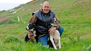 Die Border Collies Murk und Sweep helfen David Kennard beim Schafe treiben.