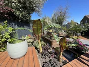 Garten mit Palmen; Logo "Viva la Diva"