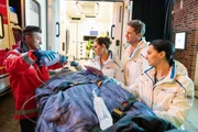 Notarzt Micha (Thomas Pellert, l.) bringt einen der Feuerwehrm&auml;nner in die Notaufnahme. Ella (Ines Quermann), Dr. Sebastian Sander (Oliver Frank) und Nora (Mimi Fiedler) (v.r.) nehmen den Patient in Empfang.