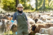 Sch&auml;ferin Tina Haus wandert mit den Schafen zur n&auml;chsten Weide.