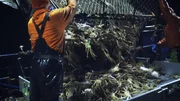 Die F/V Saga holt einen gro&szlig;en Topf mit Krabben heraus und wirft sie auf den Tisch.