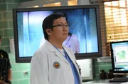 Steht dem Team mit seinem Wissen zur Seite: Dr. Max Bergman (Masi Oka) ...