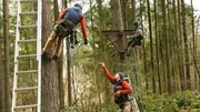 During the construction of the Auburn, WA treehouse.