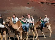 hr-fernsehen VERR&Uuml;CKT NACH MEER Folge 6 "Die Affen von Marrakesch" &ndash; Die Manns beim Kamelritt auf Lanzarote.