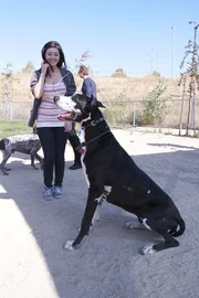 Jackie at the dog park.