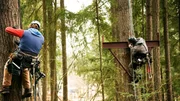 During the construction of the Auburn, WA treehouse.