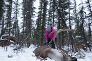 Edna helps with the caribou.