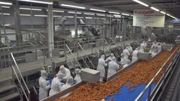 W&uuml;rste werden zumeist aus Fleischresten hergestellt. Dabei handelt es sich nicht um Fleischabfall, sondern um Abschnitte, die zwar wertvoll, aber zu klein sind.