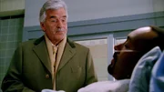Detective Joe Fontana (Dennis Farina, l.), Detective Edward Green (Jesse L. Martin)