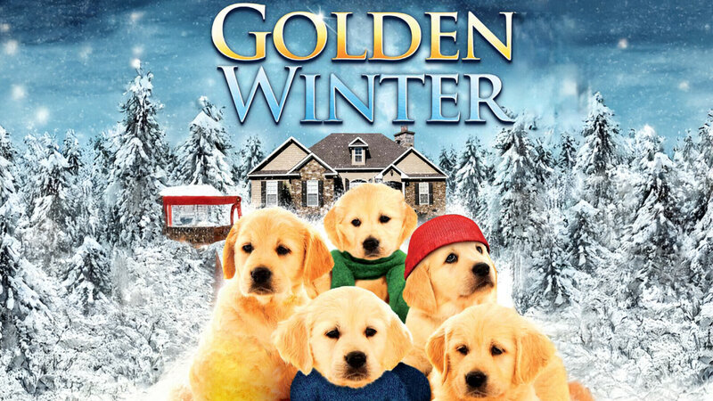 Golden Winter – Wir suchen ein Zuhause (USA, 2012)